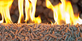 Biomass.jpg